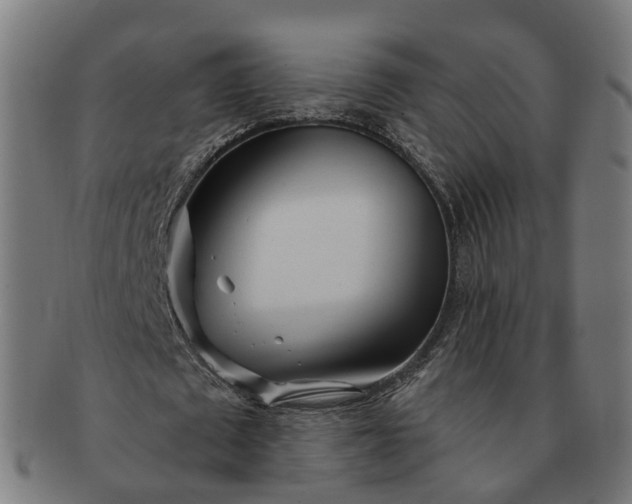 X0000091310673200708241114