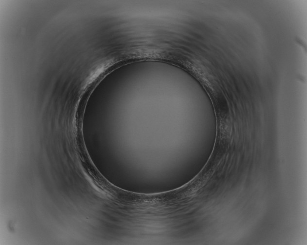 X0000091310674200708241114