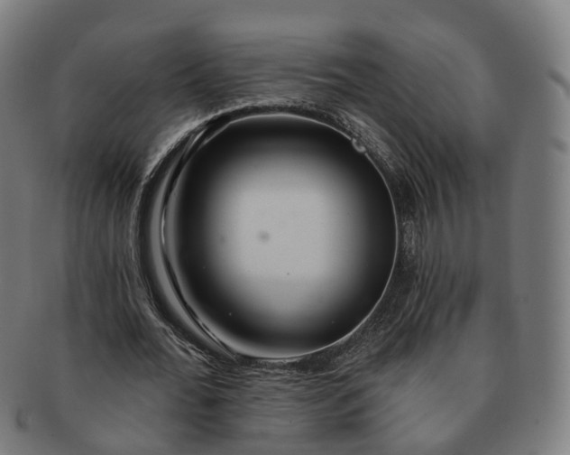 X0000091310676200708241114