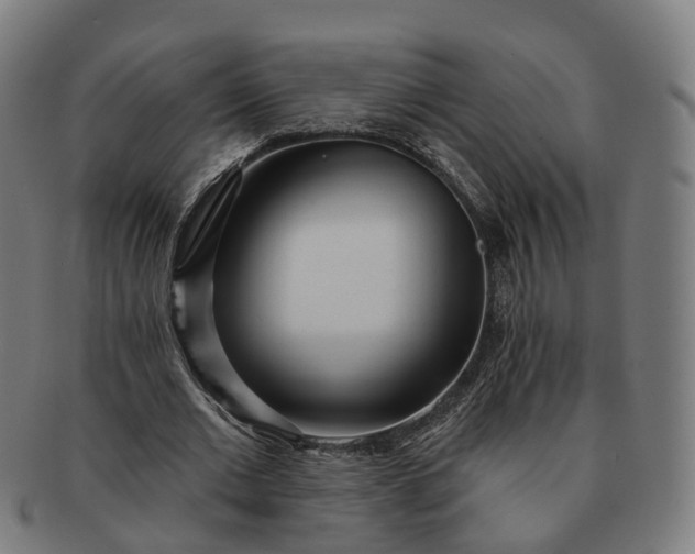 X0000091310677200708241114