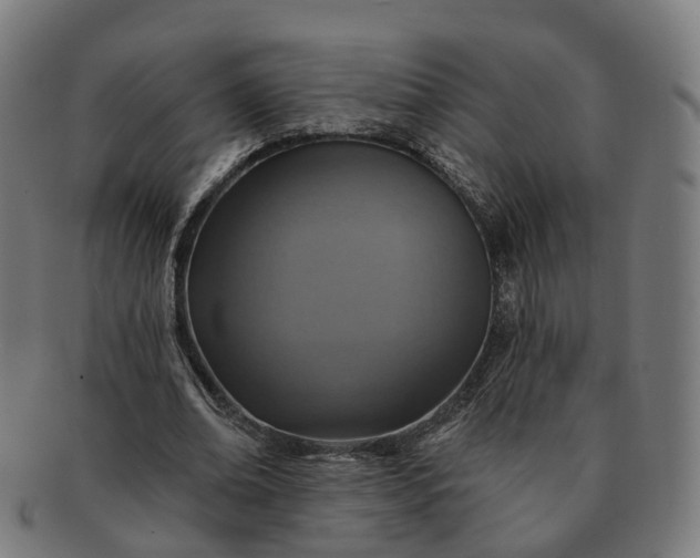 X0000091310678200708241114