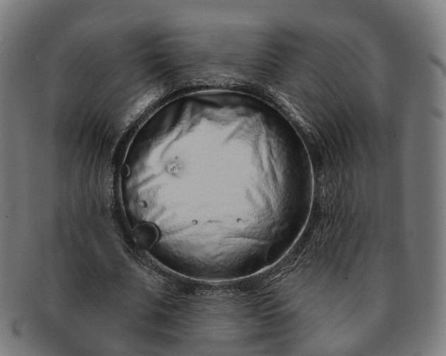 X0000091310679200708241114