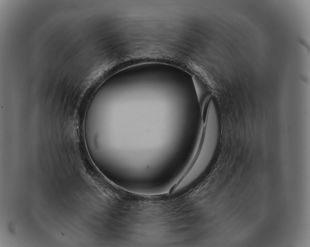 X0000091310680200708241114