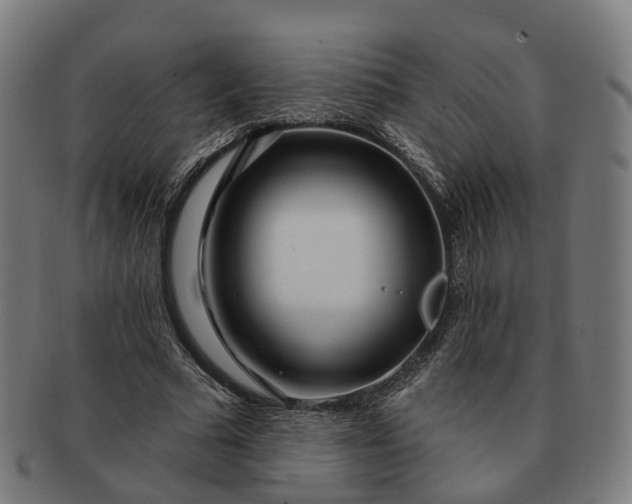 X0000091310681200708241114