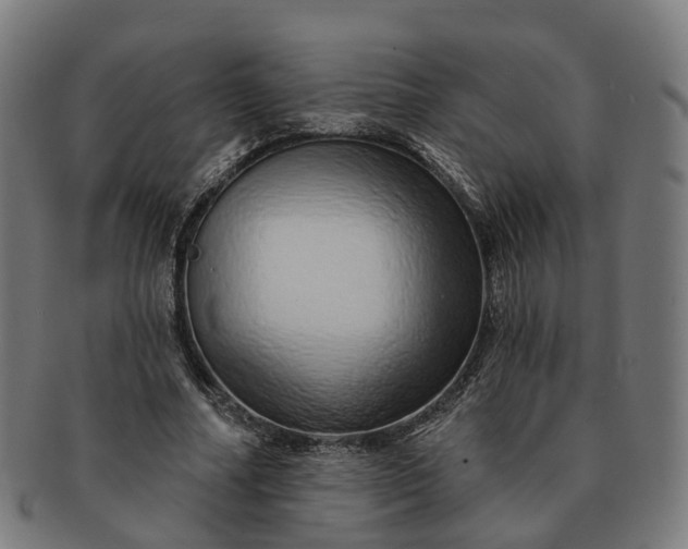 X0000091310682200708241114