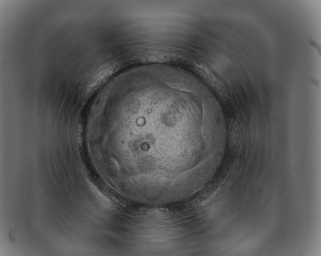 X0000091310683200708241114