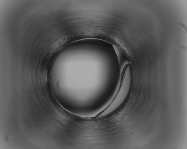 X0000091310685200708241114