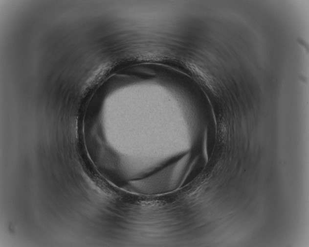 X0000091310686200708241114