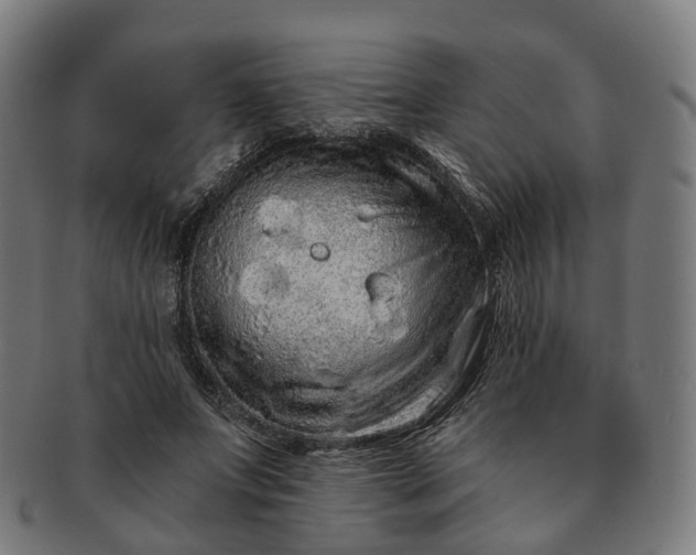 X0000091310687200708241114