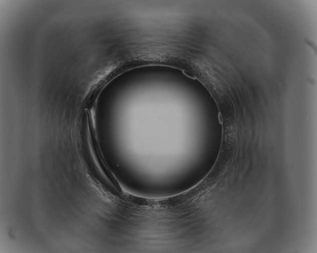 X0000091310688200708241114