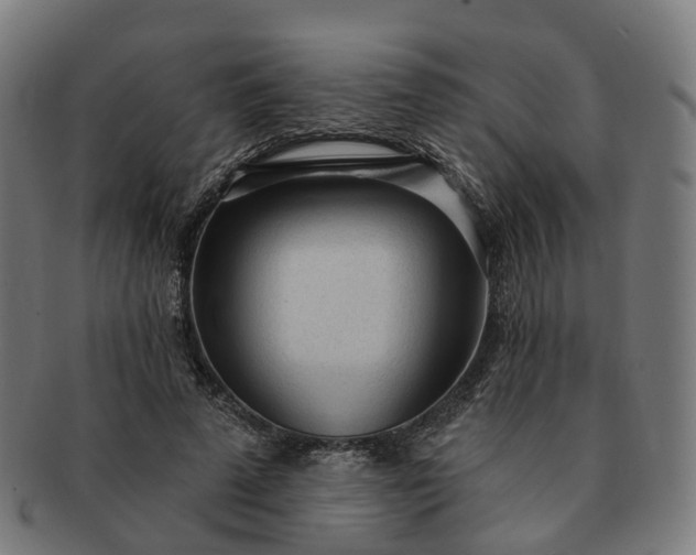 X0000091310689200708241114