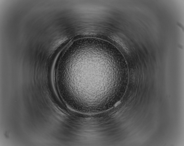 X0000091310692200708241114