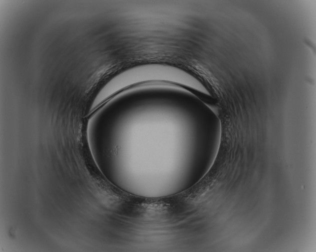 X0000091310693200708241114