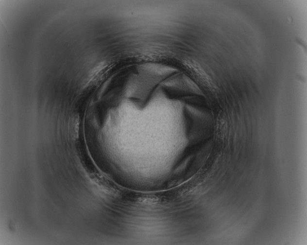 X0000091310694200708241114