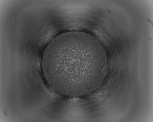 X0000091310695200708241114