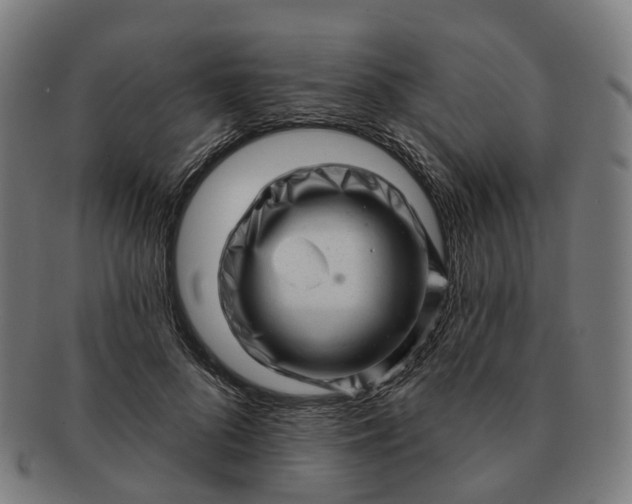 X0000091310696200708241114