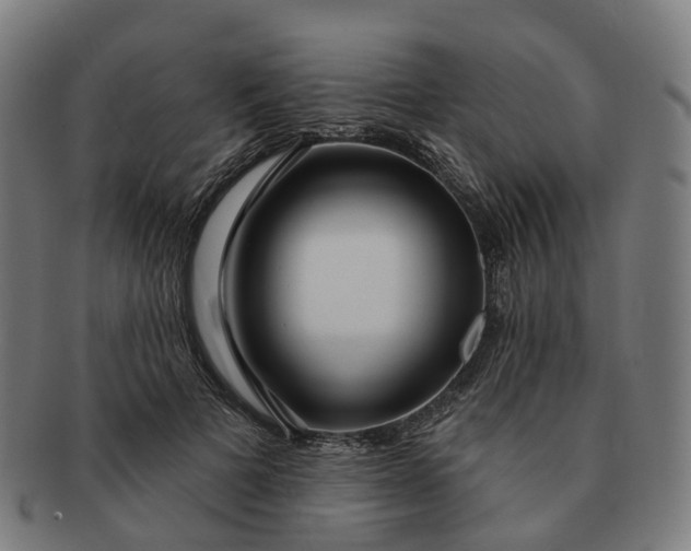 X0000091310697200708241114