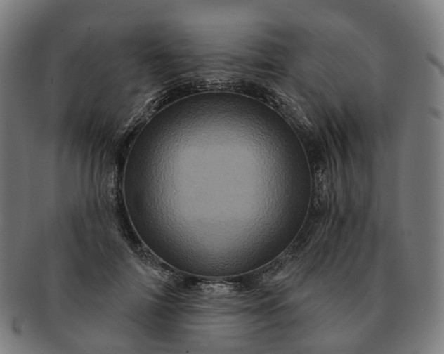 X0000091310698200708241114