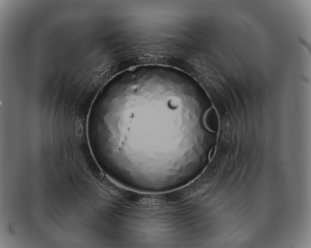 X0000091310699200708241114