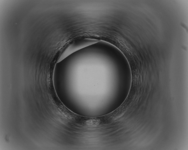 X0000091310700200708241114