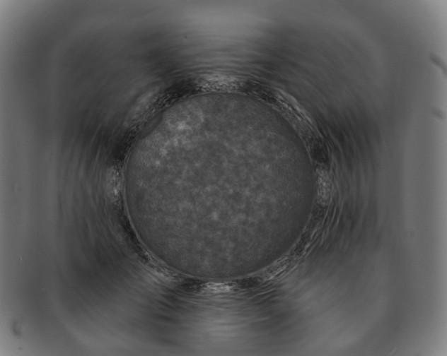 X0000091310701200708241114