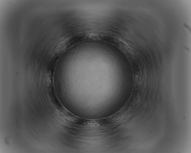 X0000091310702200708241114