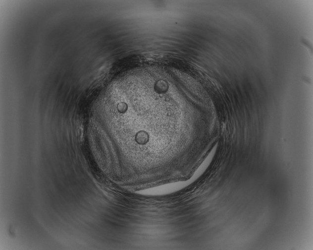 X0000091310703200708241114