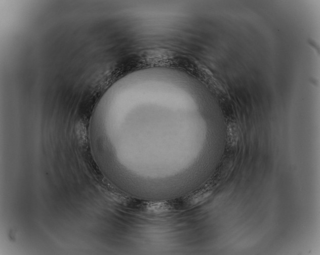 X0000091310705200708241114