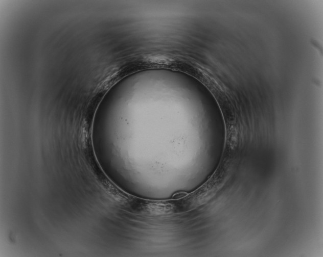 X0000091310707200708241114