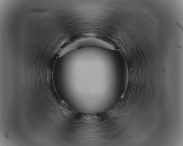 X0000091310712200708241113