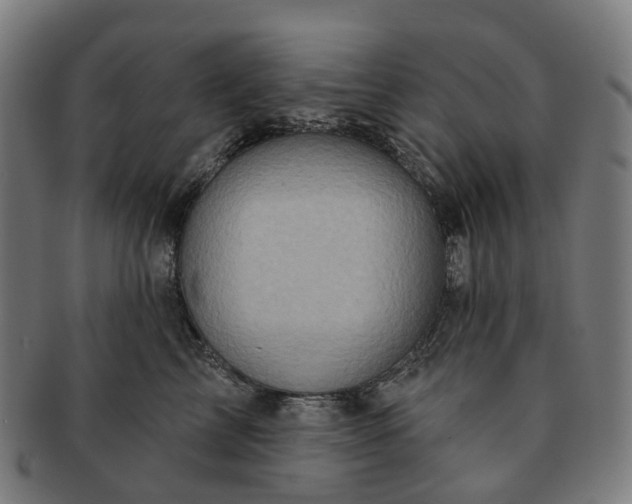 X0000091310713200708241113