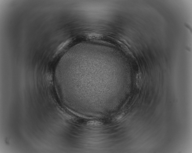 X0000091310714200708241113