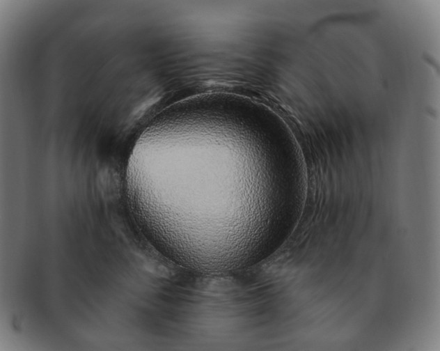 X0000091310716200708241113