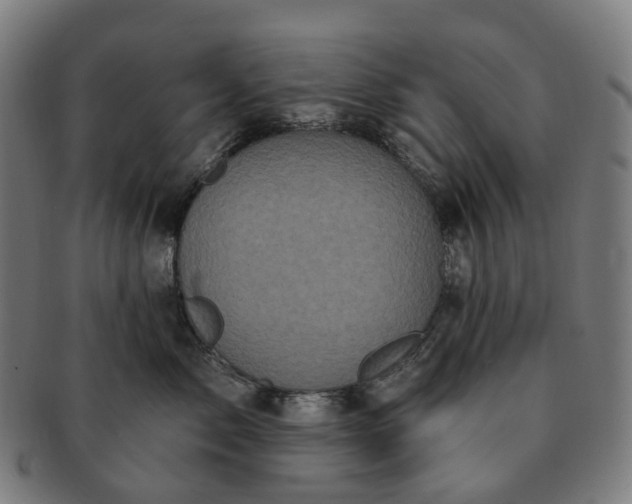 X0000091310717200708241113