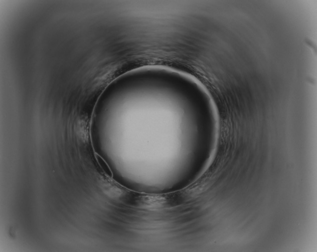 X0000091310719200708241113