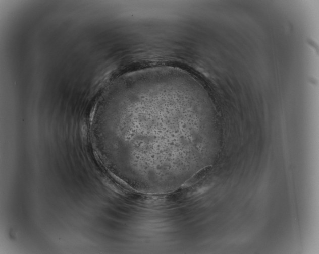 X0000091310720200708241113