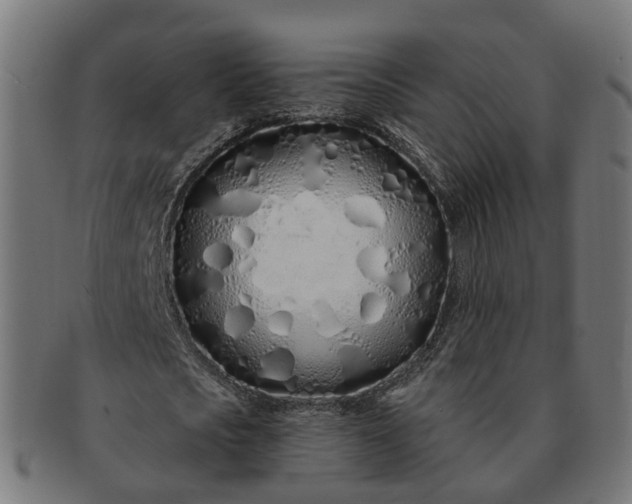 X0000091310721200708241113