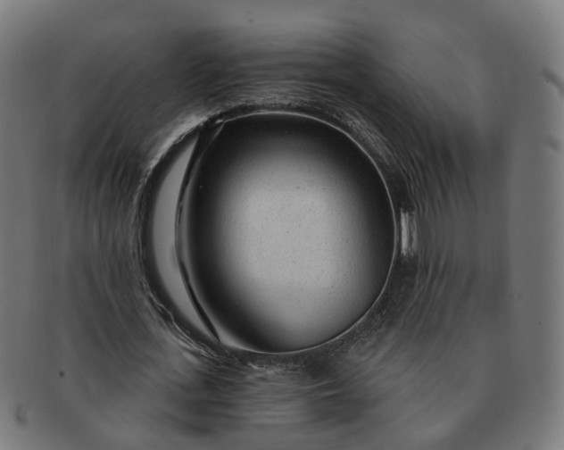 X0000091310723200708241113