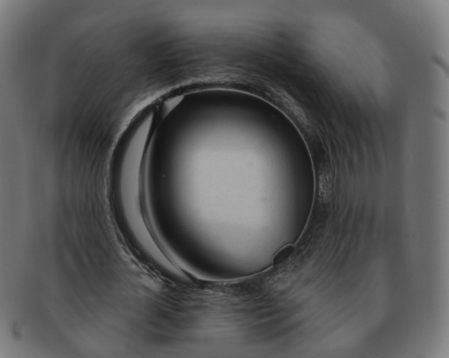 X0000091310724200708241113