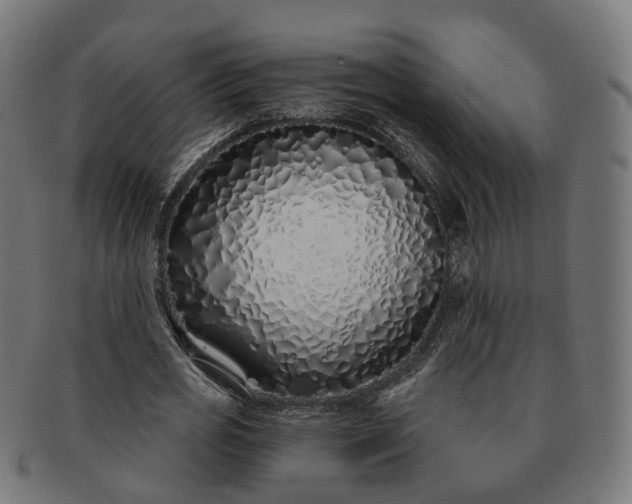 X0000091310725200708241113