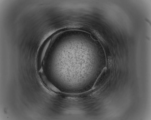 X0000091310726200708241113