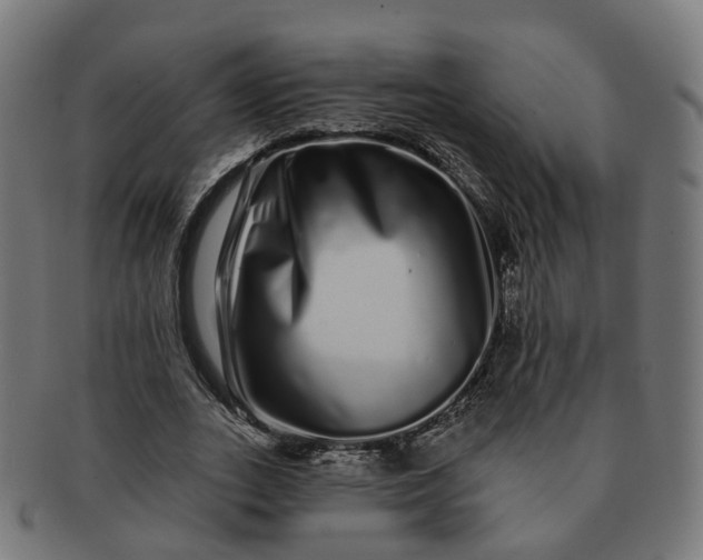 X0000091310727200708241113