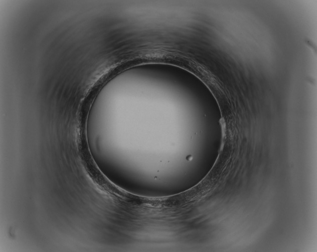 X0000091310728200708241113