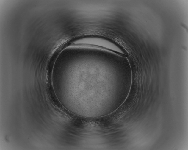 X0000091310731200708241113