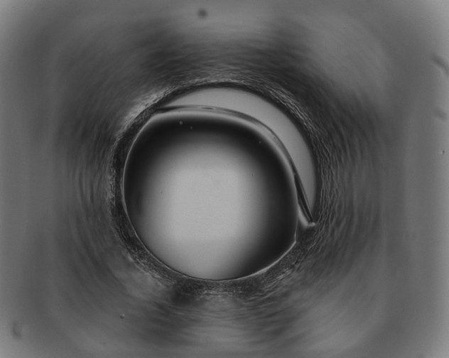 X0000091310732200708241113