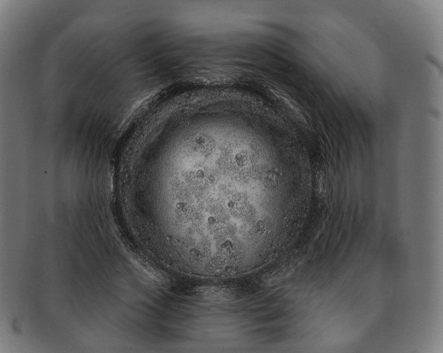 X0000091310733200708241113