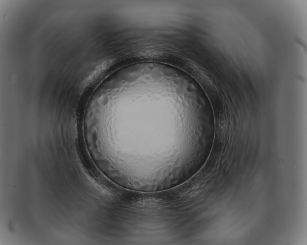 X0000091310734200708241113