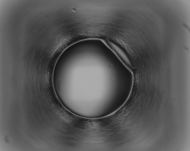 X0000091310735200708241113