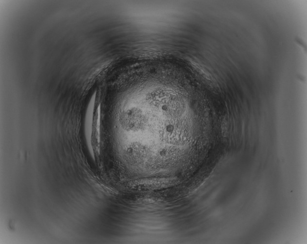 X0000091310737200708241113