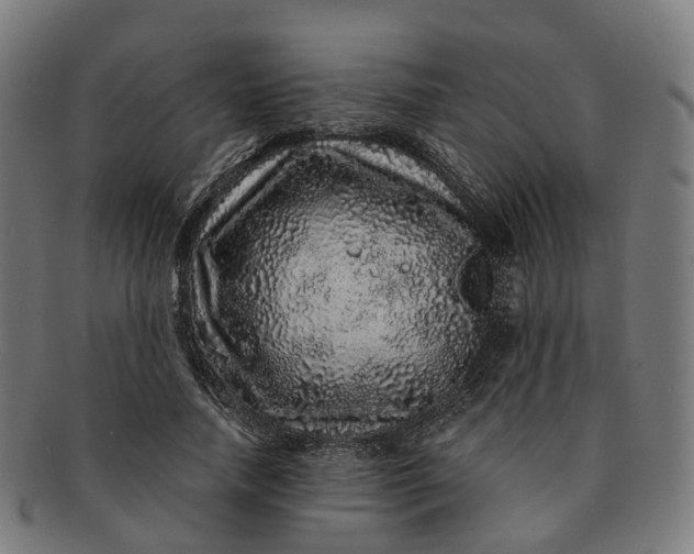 X0000091310738200708241113